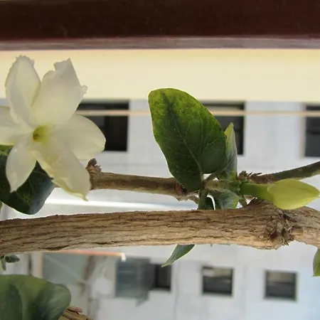 International Bed & Breakfast 4*