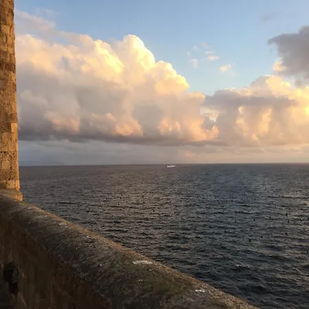 International Napels