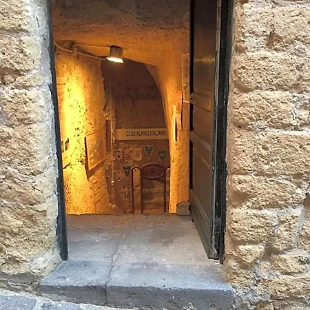 International Napoli