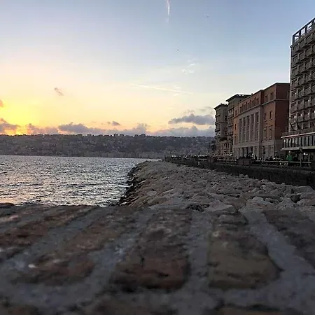International Napoli