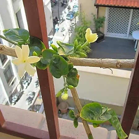 Bed & Breakfast International 4*