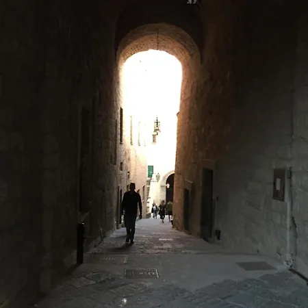 International Naples