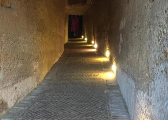 Oda ve Kahvaltı International