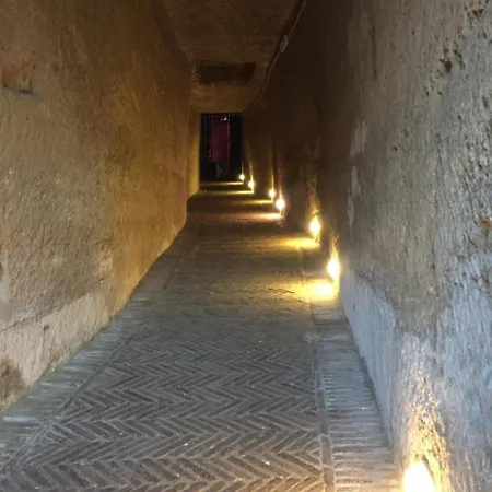 Alojamento de Acomodação e Pequeno-almoço International